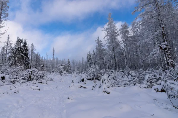 Harz – Achtermannshoehe