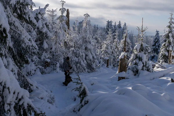 Harz – Achtermannshoehe – Nationalpark Harz, Deutschland – Foto 6 von 50
