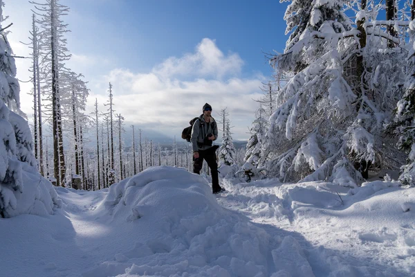 Harz – Achtermannshoehe – Nationalpark Harz, Deutschland – Foto 9 von 50