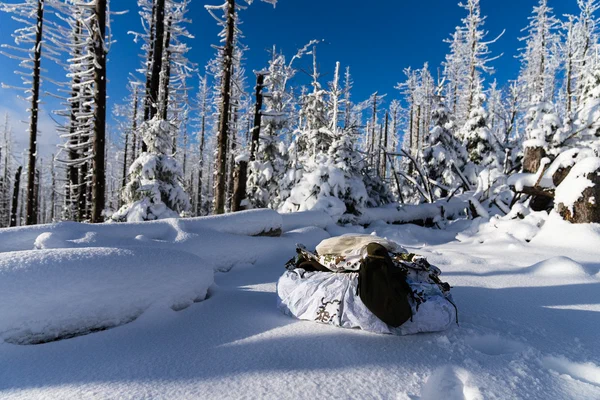 Harz – Achtermannshoehe – Nationalpark Harz, Deutschland – Foto 10 von 50