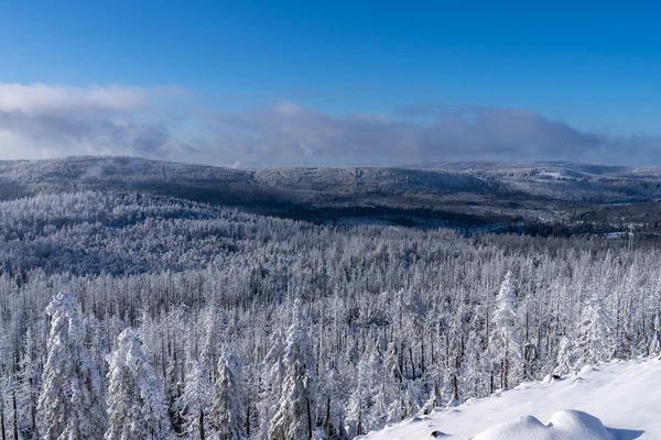 Harz – Achtermannshoehe – Nationalpark Harz, Deutschland – Foto 12 von 50