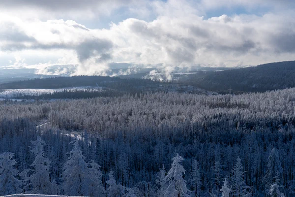 Harz – Achtermannshoehe – Nationalpark Harz, Deutschland – Foto 13 von 50