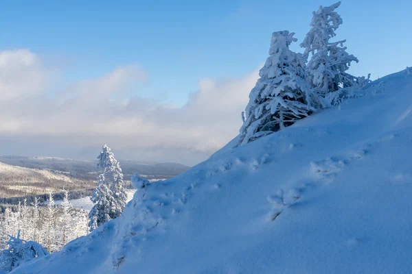 Harz – Achtermannshoehe – Nationalpark Harz, Deutschland – Foto 15 von 50