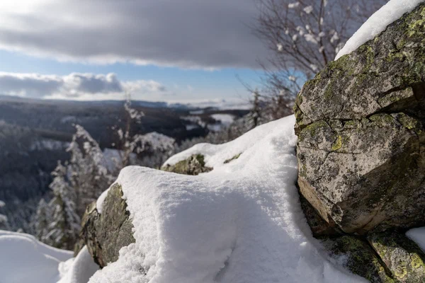 Harz – Achtermannshoehe – Nationalpark Harz, Deutschland – Foto 16 von 50