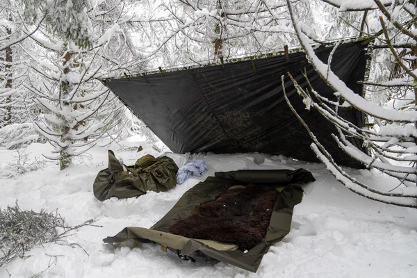 Harz – Achtermannshoehe – Nationalpark Harz, Deutschland – Foto 19 von 50