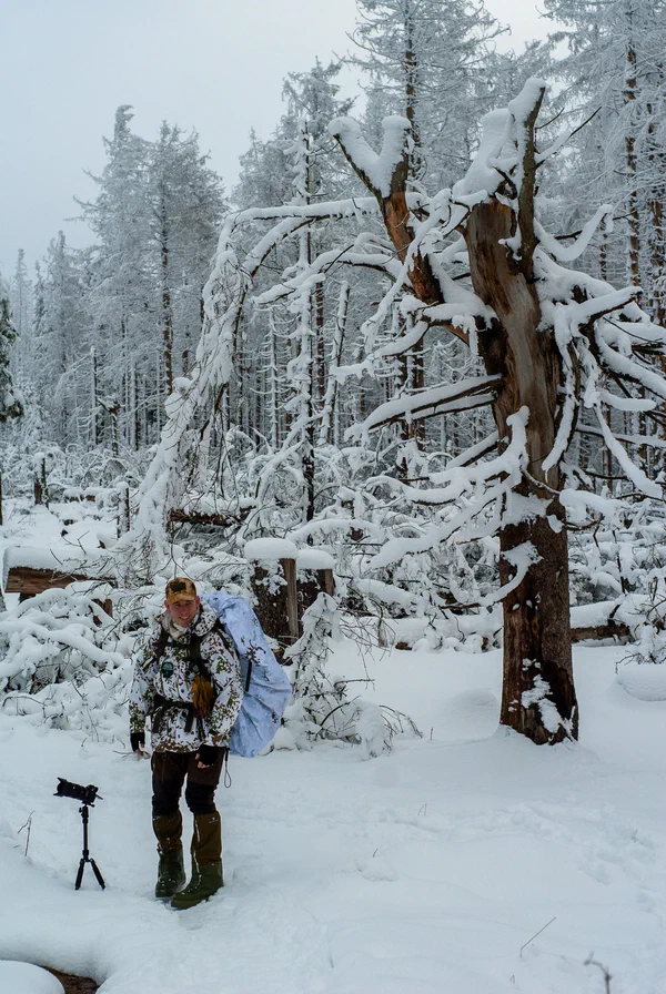 Harz – Achtermannshoehe – Nationalpark Harz, Deutschland – Foto 33 von 50