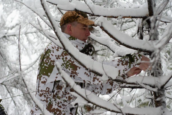 Harz – Achtermannshoehe – Nationalpark Harz, Deutschland – Foto 43 von 50